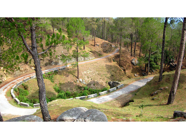 రాణిఖెట్