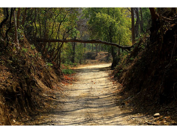 వసతి సదుపాయాలు