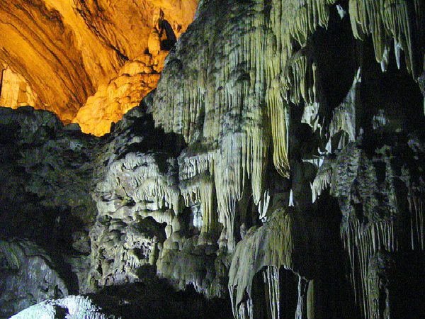 ప్రకృతి