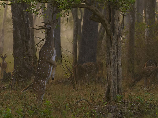 అనుభూతి