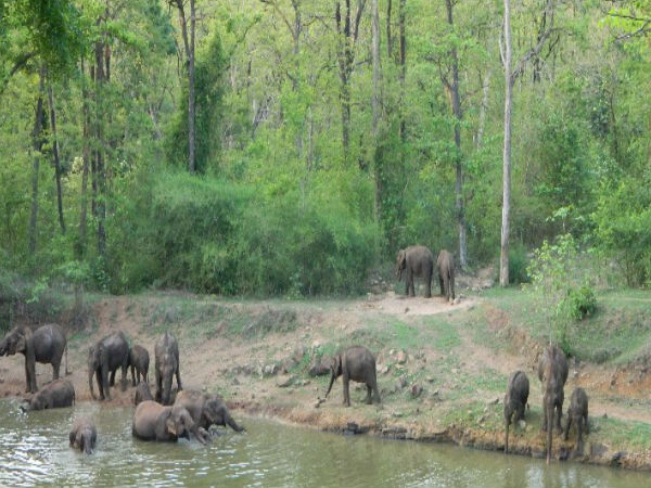 సతకోసియా