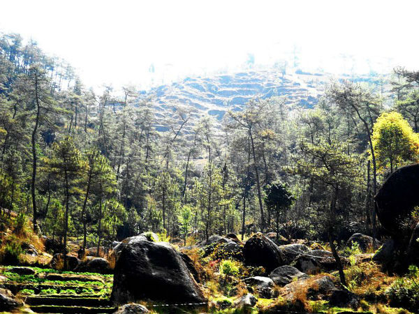 తన్గ్ఖరంగ్ పార్క్