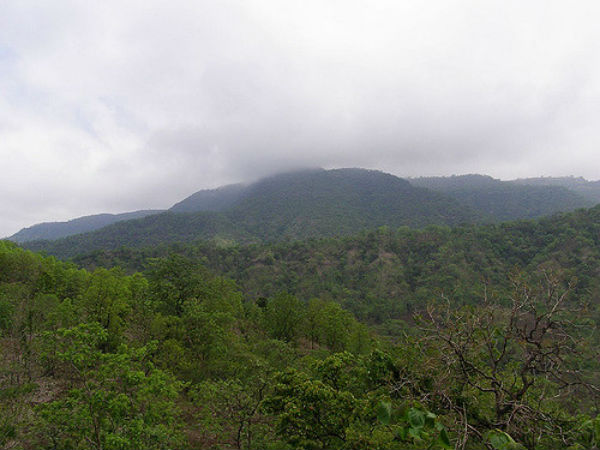 ఆవాశబరి పాయింగ్