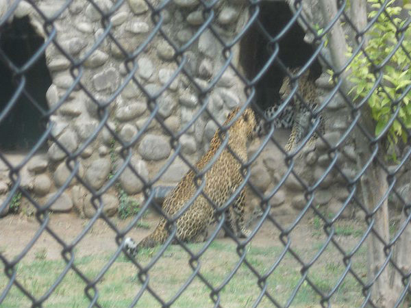 మొర్ని కొండలు