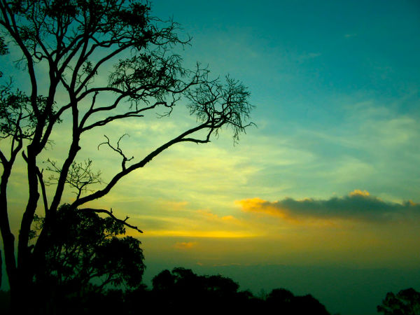 కరదియూర్ వ్యూ పాయింట్