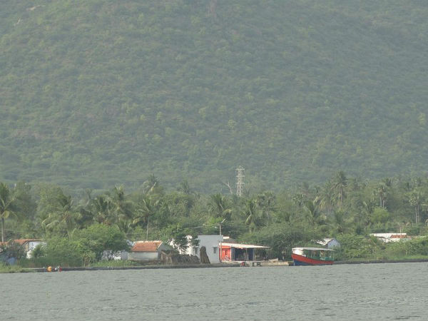 బన్నారి