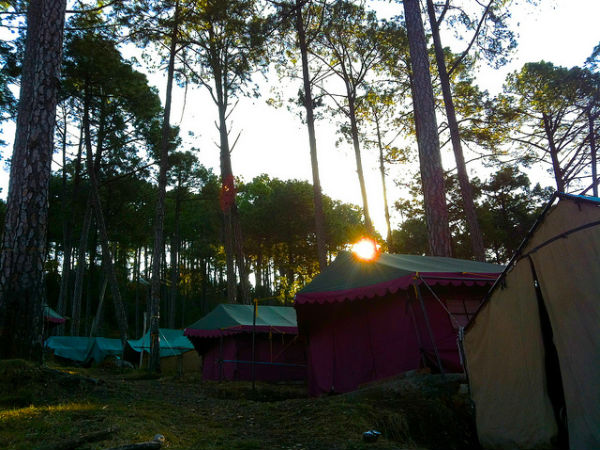 క్యాంపింగ్