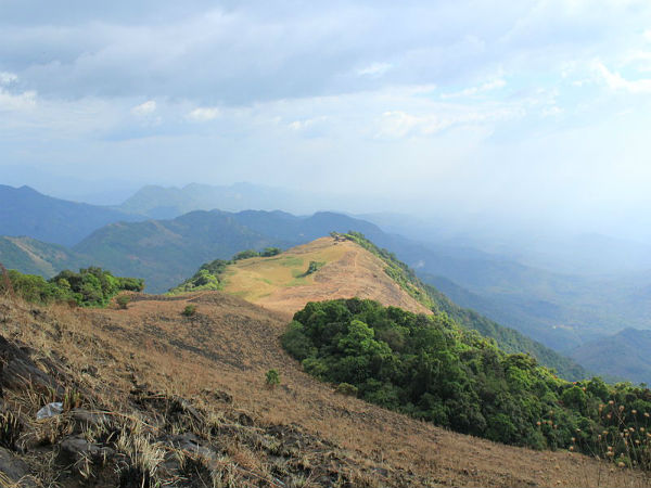 ప్యాథల్ మల