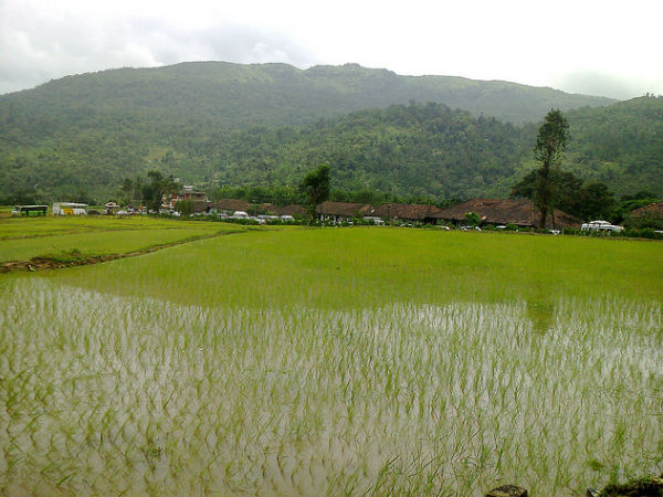 పచ్చదనంతో అలరారుతున్న హొరనాడు