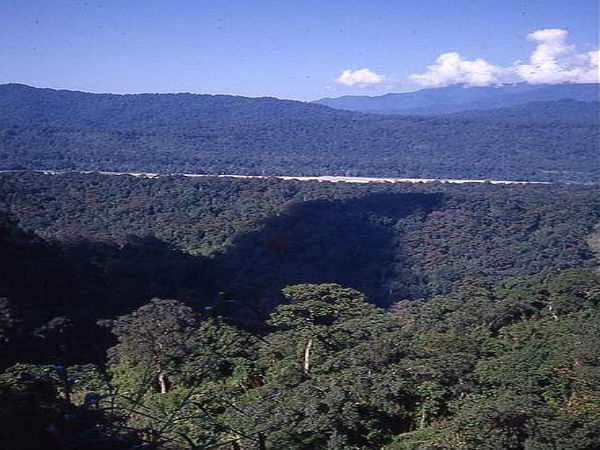 నమ్దఫా టైగర్ రిజర్వ్ & నేషనల్ పార్క్