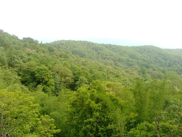 పరంబిక్కులమ్ వన్య ప్రాణుల అభయారణ్యం