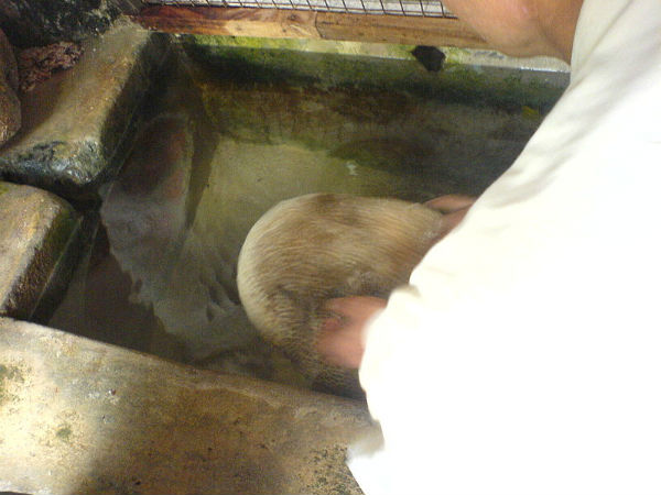 ఆధ్యాత్మికమే కాదు ... అద్భుతమైనది