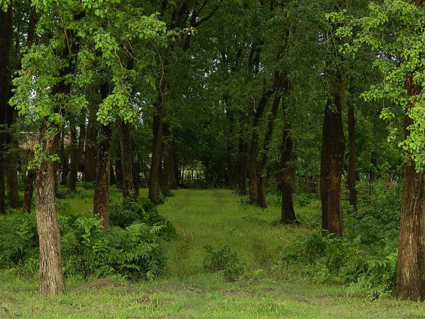 హనీమూన్ జంటలకు స్వర్గధామం ... మజులి !!