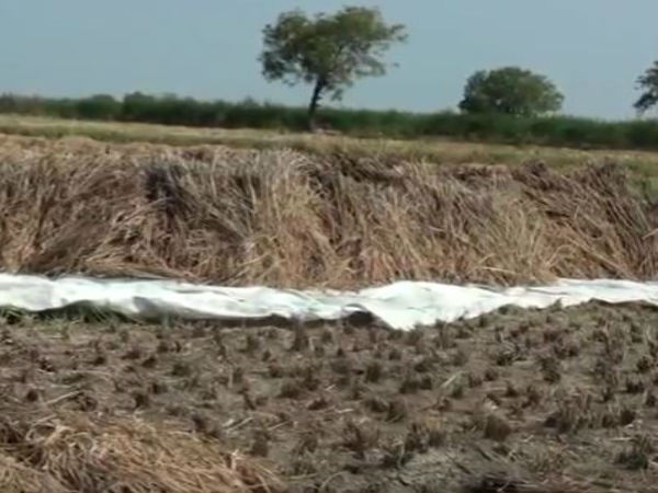 5. నందికొండ