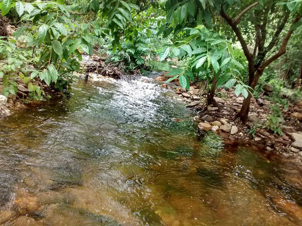 1. ఉబ్బల మడుగు జలపాతం - ఒక సుందర ప్రదేశం