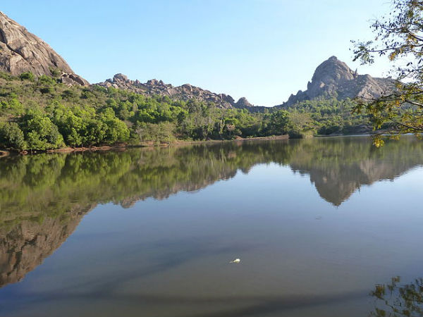 4. వ్యవసాయం