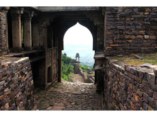 2. రైసేన్