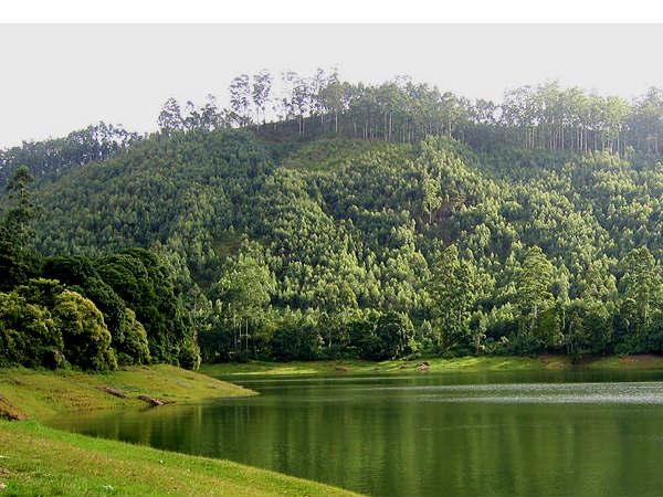 1. ఫోటో పాయింట్