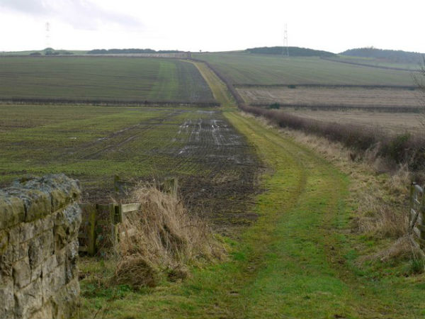 4. ఇక్కడి ప్రత్యేకతలు