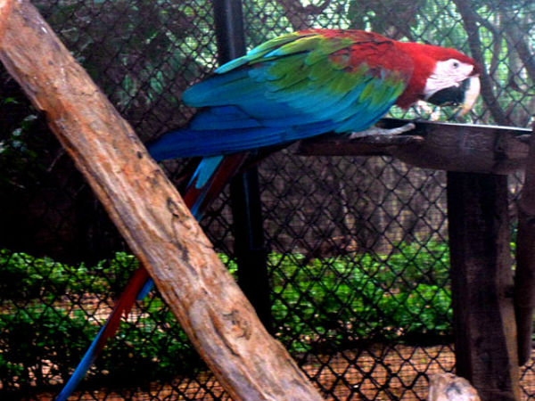 14. ఇందిరాగాంధీ జులాజికల్ పార్క్