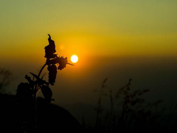 3. ఏర్కాడు అందాలు