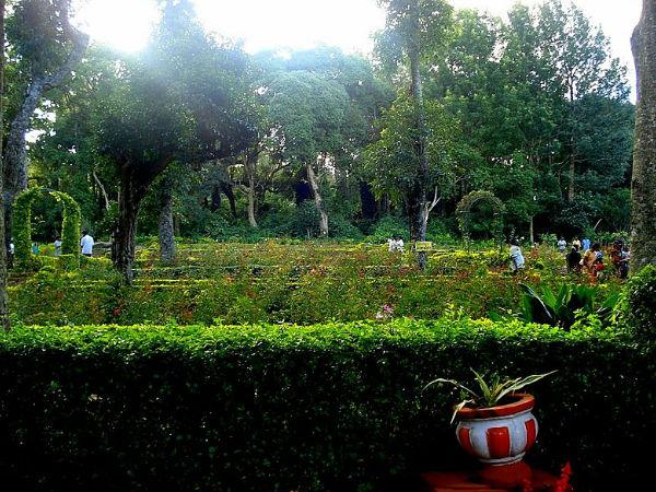 4. బొటానికల్ గార్డెన్