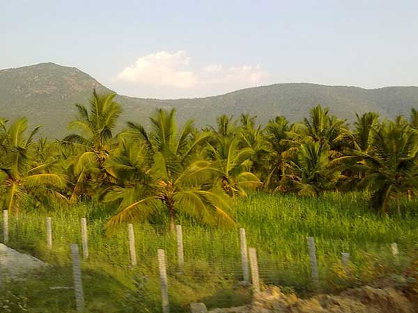 బెంగళూరు నుండి మధురైకు వారాంతంలో యాత్ర