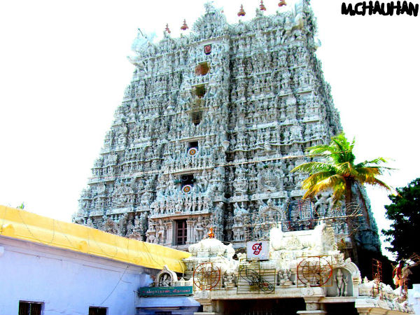 11. బయల్పడిన సంపద