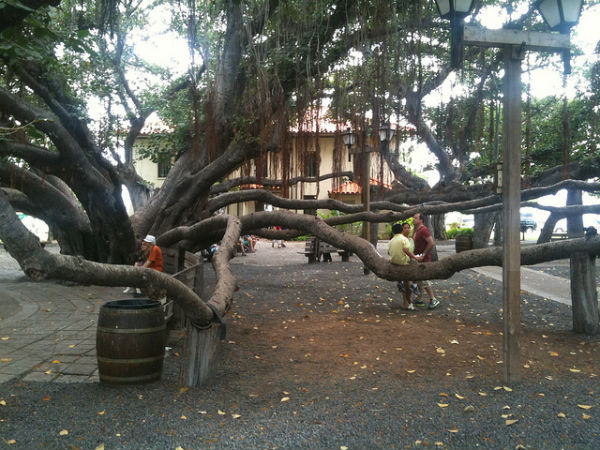 6.పాతివ్రత్య మహిమ