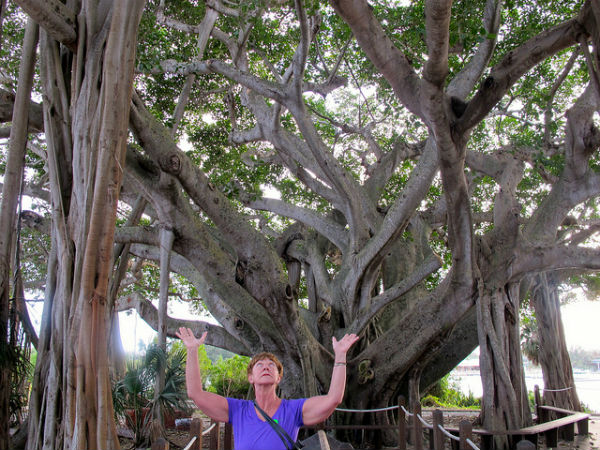 11. పిల్లలు లేని దంపతులు 