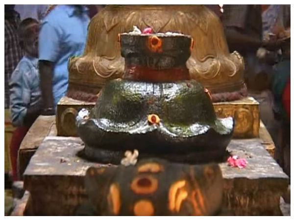 10. జీవసమాధి