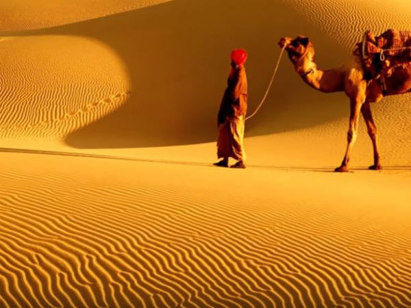 4. థార్ ఎడారి