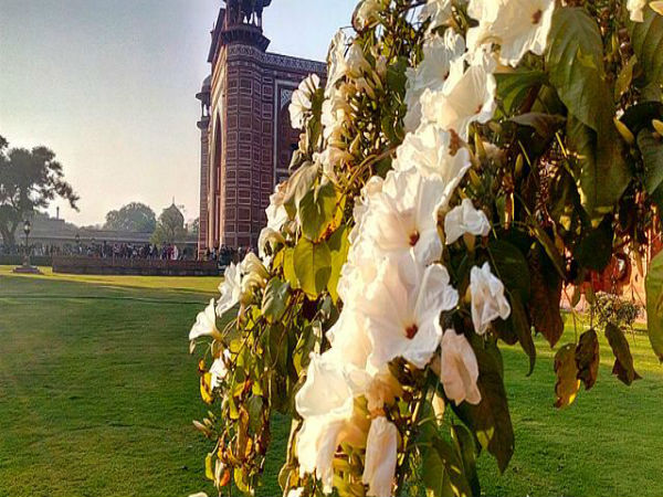 7. తాజ్ మహల్ నిర్మాణం