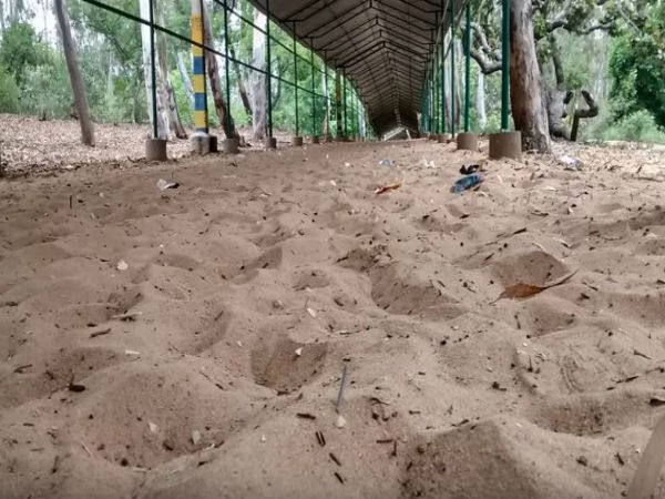 4. ఇసుకదిబ్బ