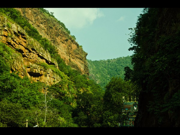 5. సర్వ రోగాలు