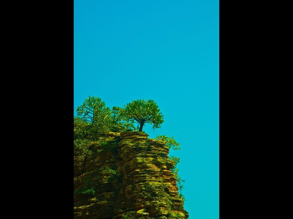 9. శిష్యులకు జ్ఞానోపదేశం