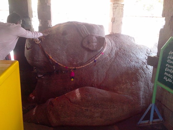 11. బసవన్న రంకె