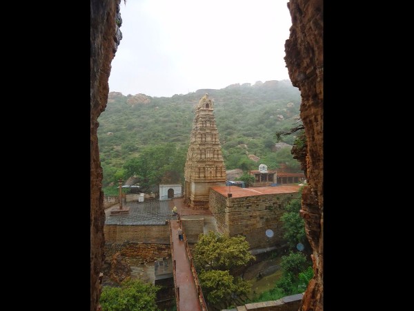 12. కాకులకు శాపం