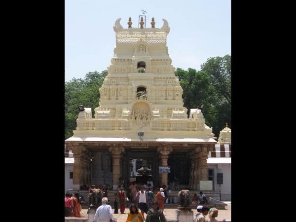 9. సకలఫల వృక్షాలు