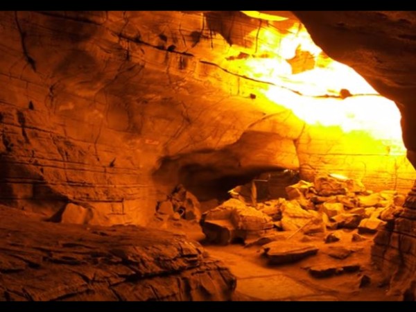 14. ఉరుసు ఉత్సవం