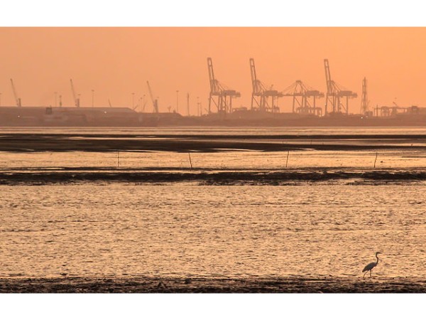 3. డ్యూమాస్ బీచ్