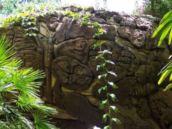 4. గబ్బిలం