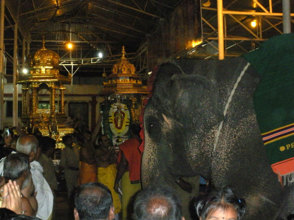 భక్తుల కోరికలు తీర్చే కామధేను మరియు కల్పవృక్షం మంత్రాలయ రాఘవేంద్ర స్వామి