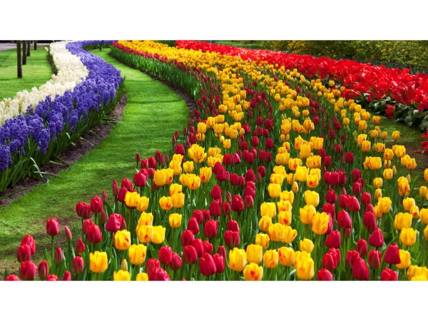 1. ప్రకృతి సౌందర్యాలు