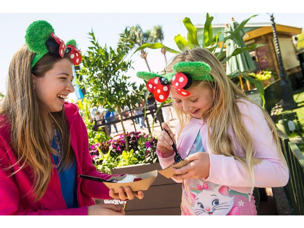 11. సంస్కృతి