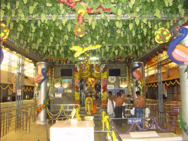 7. పర్యాటకులు