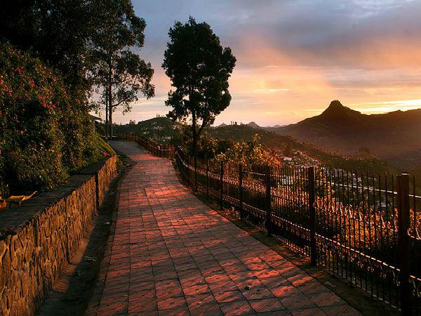 11. కోకర్స్ వాక్ 