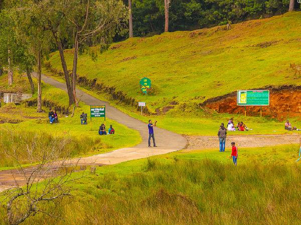 16. రాక్ పిల్లర్స్ లేదా రాతి స్థంభాలు