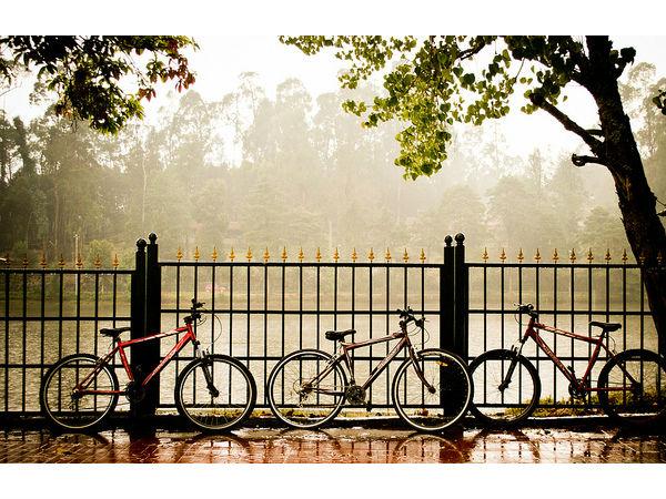 20. సైకిళ్ళు, గుర్రాల మీద రైడింగ్ 