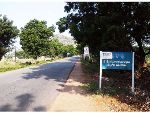 11. పుష్కరిణి